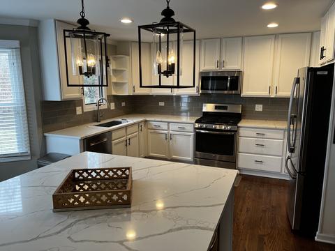 976 Greenview Ave, Des Plaines, IL 60016 photo 9