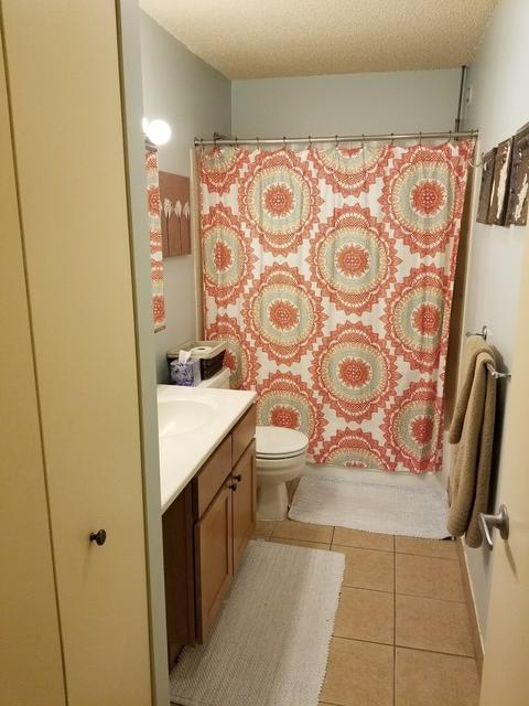 30 E Huron St #3801, Chicago, IL 60611 photo 19