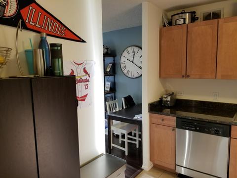 30 E Huron St #3801, Chicago, IL 60611 photo 12