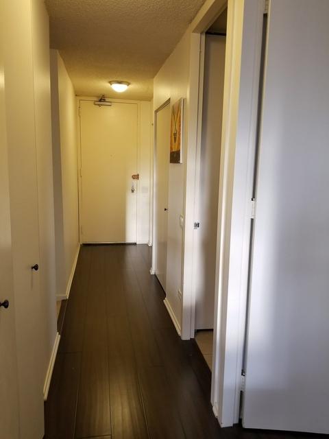30 E Huron St #3801, Chicago, IL 60611 photo 4
