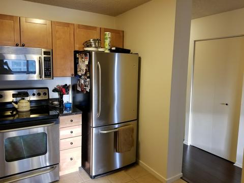 30 E Huron St #3801, Chicago, IL 60611 photo 14