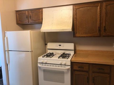 161 Gregory St #3, Aurora, IL 60504 photo 8