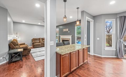 229 Burton Dr, Bartlett, IL 60103 photo 9