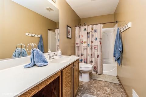 25131 Declaration Dr, Plainfield, IL 60544 photo 18
