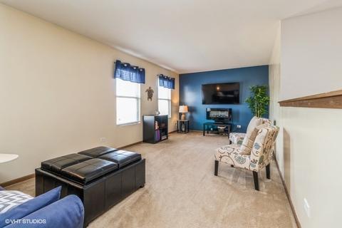 25131 Declaration Dr, Plainfield, IL 60544 photo 13