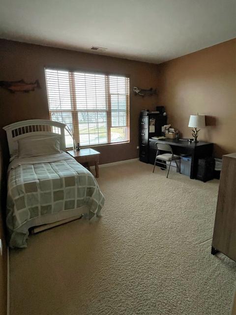 770 Turtle Point Ct, Elgin, IL 60124 photo 19