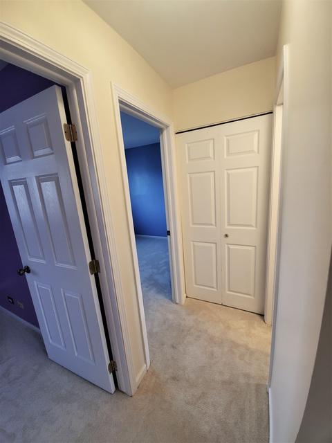 1000 Sandpiper Ct, Bartlett, IL 60103 photo 14