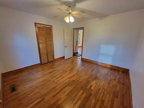 133 E Sprague St, Bement, IL 61813 photo 14