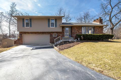 1457 Edgewood Ct, Davis, IL 61019 photo 1