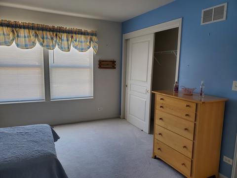 511 Brookside Ave, Algonquin, IL 60102 photo 27