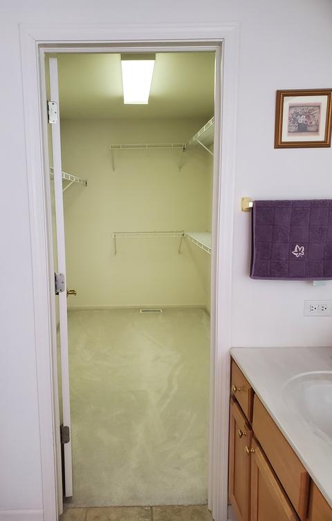 511 Brookside Ave, Algonquin, IL 60102 photo 40