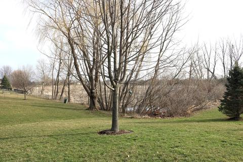 3700 Wintergreen Ter, Algonquin, IL 60102 photo 40