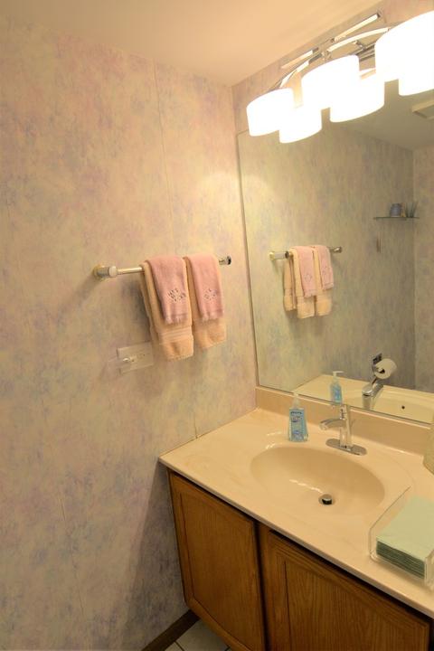 4605 Burnham Dr, Hoffman Estates, IL 60192 photo 11