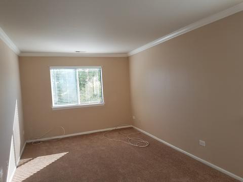 652 Mallard Ct #D2, Bartlett, IL 60103 photo 9