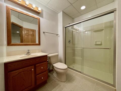 4480 Mitchell Ct, Plano, IL 60545 photo 22