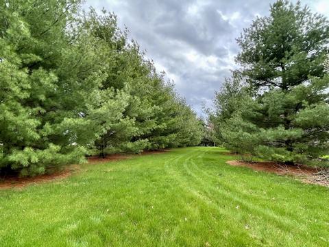 4480 Mitchell Ct, Plano, IL 60545 photo 29