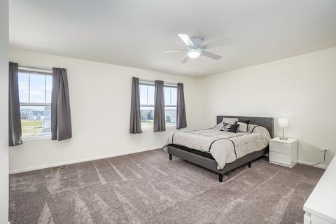 101 Schmidt Ct, Plano, IL 60545 photo 22