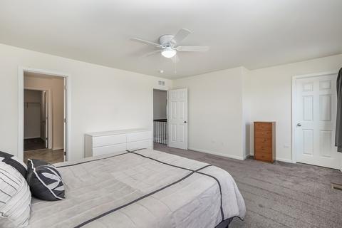 101 Schmidt Ct, Plano, IL 60545 photo 23