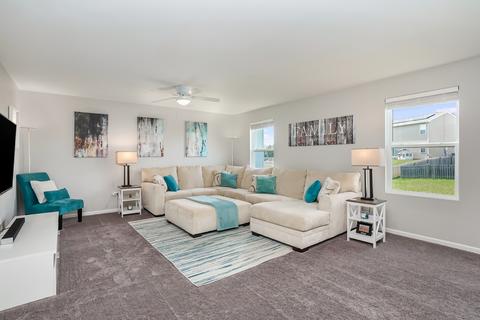 101 Schmidt Ct, Plano, IL 60545 photo 4