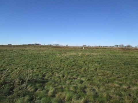 1009 Forest Downs, Harvard, IL 60033 photo 2