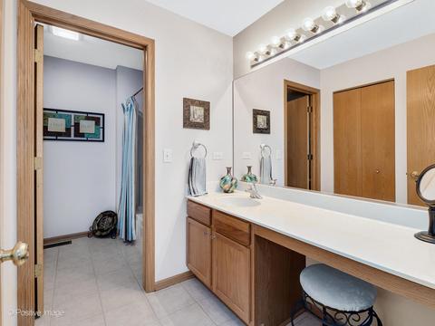 7709 Oleander Dr, Plainfield, IL 60586 photo 24