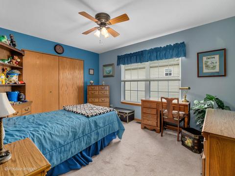7709 Oleander Dr, Plainfield, IL 60586 photo 23