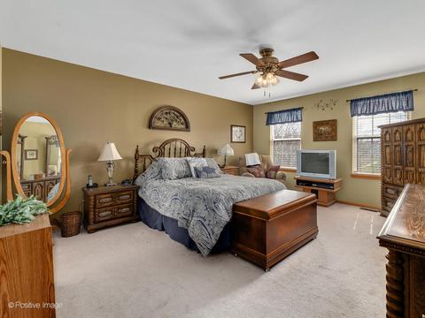 7709 Oleander Dr, Plainfield, IL 60586 photo 17