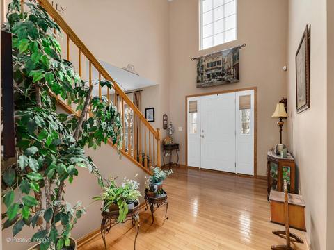 7709 Oleander Dr, Plainfield, IL 60586 photo 6
