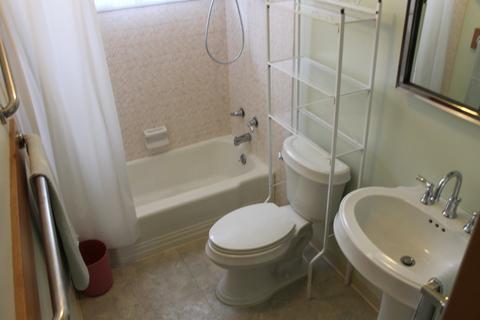 234 N Chase Ave, Bartlett, IL 60103 photo 8