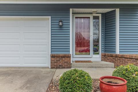 107 E Briarcliff Dr, Saint Joseph, IL 61873 photo 3