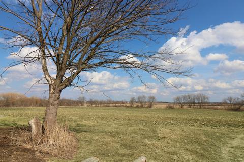 19407 Streit Rd, Harvard, IL 60033 photo 37