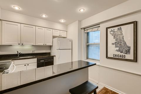 40 E 9th St #715, Chicago, IL 60605 photo 7