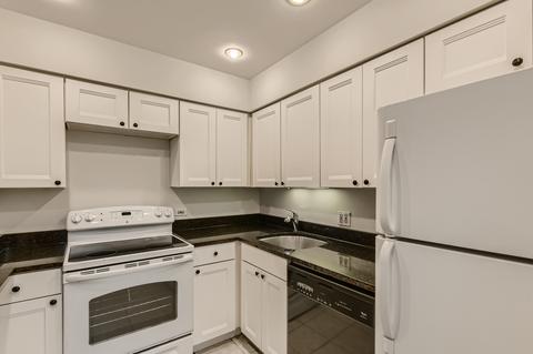 40 E 9th St #715, Chicago, IL 60605 photo 8