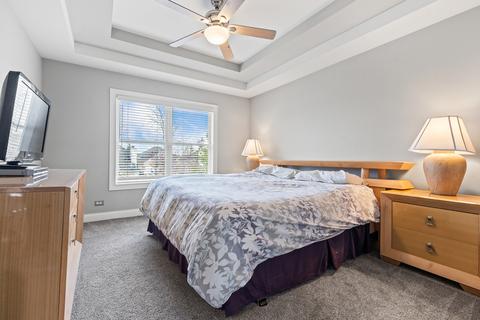 12926 Hawks Bill Ct, Plainfield, IL 60585 photo 30