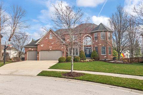 12926 Hawks Bill Ct, Plainfield, IL 60585 photo 2