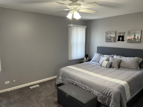 334 Terrace Dr, Bartlett, IL 60103 photo 13