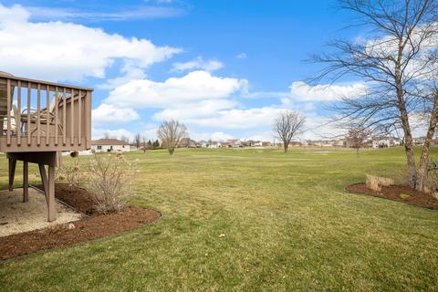 29881 Blue Heron Blvd, Beecher, IL 60401 photo 29