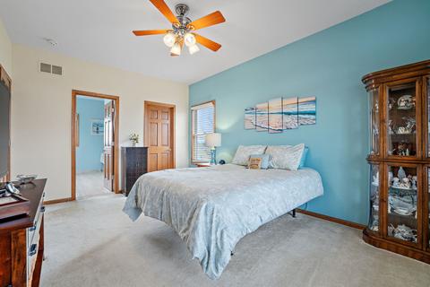 29881 Blue Heron Blvd, Beecher, IL 60401 photo 15