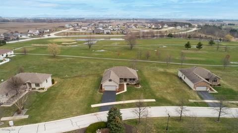 29881 Blue Heron Blvd, Beecher, IL 60401 photo 2