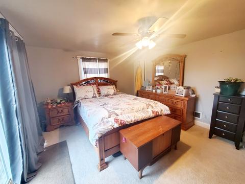 696 S Curtis Ave, Kankakee, IL 60901 photo 19