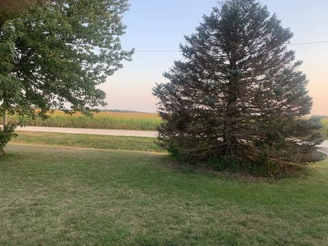 104 E Williams Rd, Buckley, IL 60918 photo 11