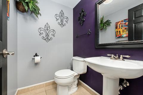 1263 Summersweet Ln, Bartlett, IL 60103 photo 6