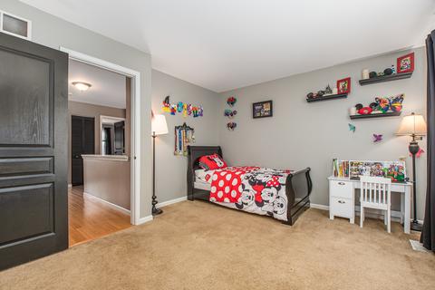 1263 Summersweet Ln, Bartlett, IL 60103 photo 22