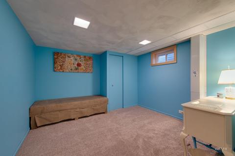 25 E Monterey Ave, Schaumburg, IL 60193 photo 22