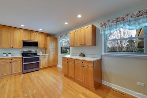 25 E Monterey Ave, Schaumburg, IL 60193 photo 10
