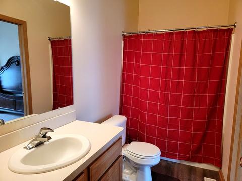 1389 Fox Hound Trl, Beecher, IL 60401 photo 12