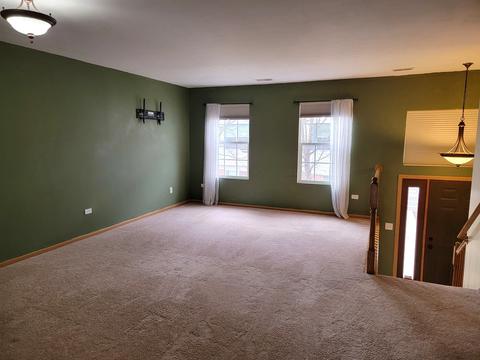1389 Fox Hound Trl, Beecher, IL 60401 photo 2