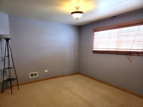 1389 Fox Hound Trl, Beecher, IL 60401 photo 17