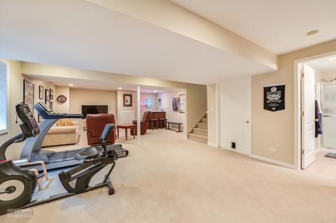 1237 Wise St, Elburn, IL 60119 photo 24