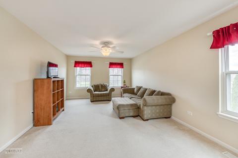 1237 Wise St, Elburn, IL 60119 photo 14